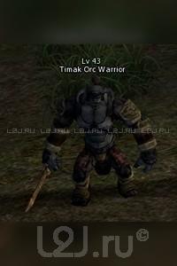Timak Orc Warrior