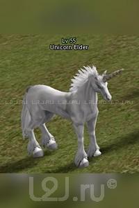 Elder the Unicorn