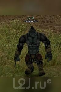 Tamlin Orc