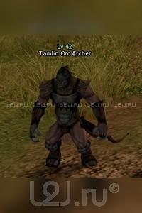 Tamlin Orc Archer