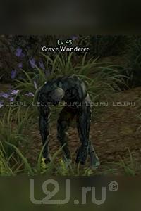 Graveyard Wanderer