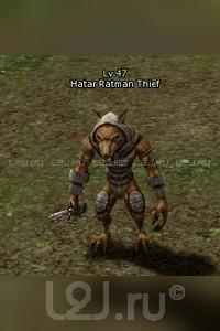 Hatar Ratman Thief
