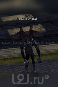 Tortured Undead