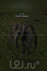 Marsh Stalker
