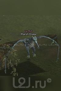 Marsh Drake