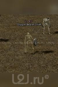 Dragon Bearer Captain