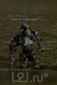 Timak Orc Troop Captain