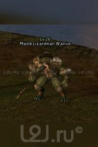 Maille Lizardman Warrior