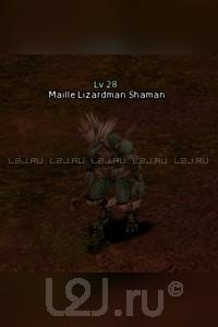 Maille Lizardman Shaman