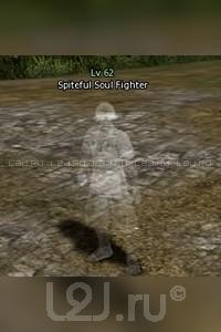 Spiteful Soul Warrior