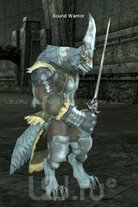Bound Warrior