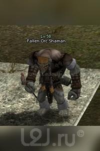 Fallen Orc Shaman