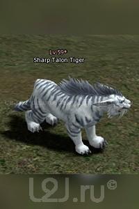 Sharp Talon Tiger