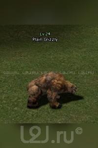 Plain Grizzly