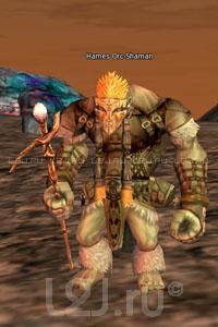 Hames Orc Shaman