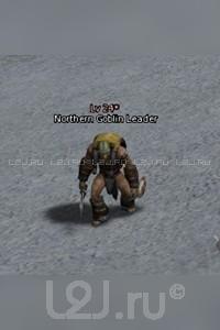 Northern Goblin Captain