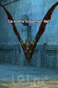 Catacomb Scavenger Bat