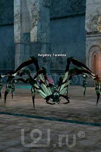 Purgatory Tarantula