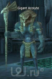 Gigant Acolyte