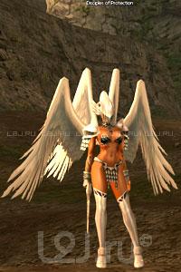 Disciples of Protection