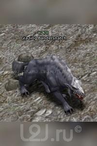 Grazing Bandersnatch