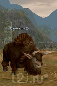 Alpine Buffalo