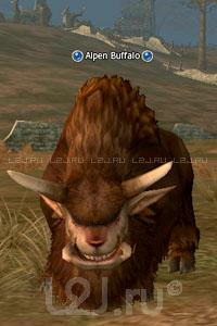 Alpine Buffalo