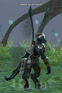 Needle Stakato Worker