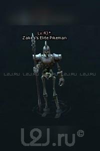 Zaken's Elite Pikeman