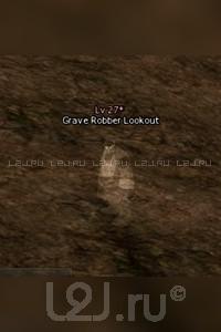 Grave Robber Lookout