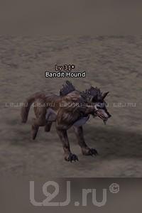 Bandit Hound