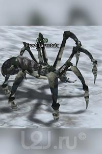 Frost Tarantula