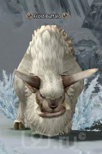 Frost Buffalo