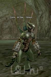 Cannibalistic Stakato Follower