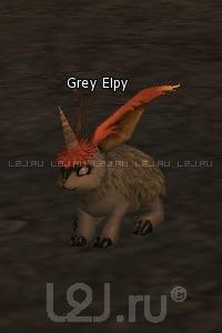 Grey Elpy