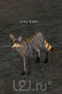 Grey Keltir