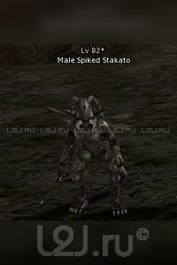 Male Spiked Stakato