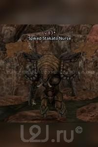 Spiked Stakato Nurse