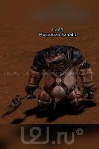 Mucrokian Fanatic