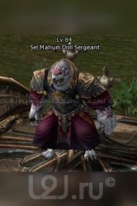 Sel Mahum Drill Sergeant