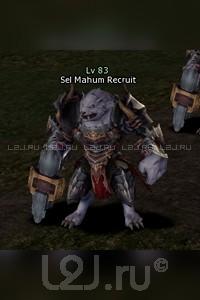 Sel Mahum Recruit