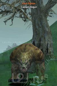 Escort Captain Dogun