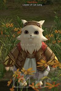 Leader of Cat Gang