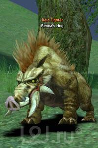 Renoa's Hog