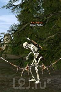Lidia's Archer