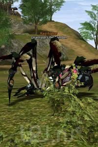 Gharmash's Pet Trimden