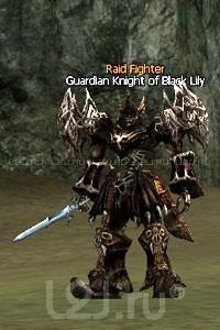 Guardian Knight of Black Lily