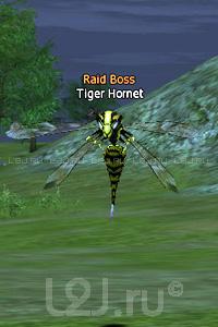 Tiger Hornet