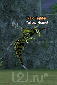 Yellow Hornet