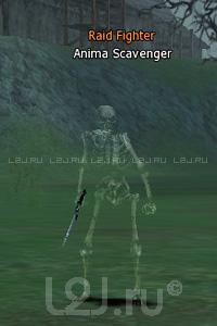 Anima Scavenger